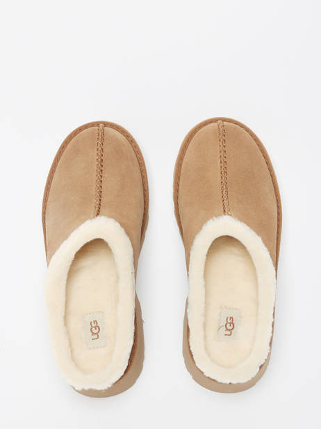Boots New Height Cozy En Cuir Ugg Beige accessoires 1162510 vue secondaire 4
