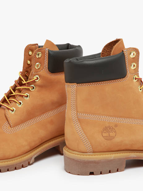 Boots Premium 6 En Cuir Timberland Marron men TB110061 vue secondaire 2