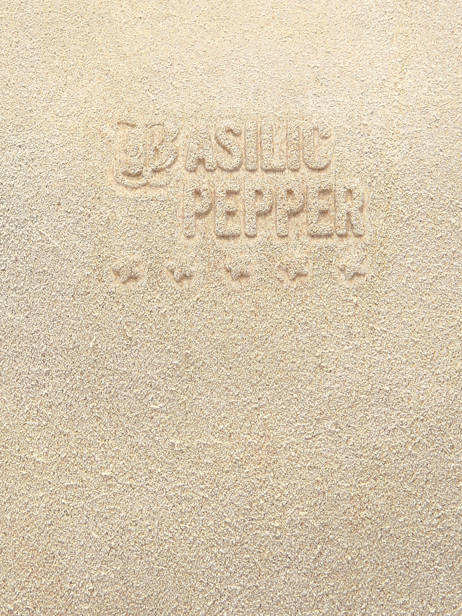 Sac Porté épaule Houston Cuir Basilic pepper Beige houston BHOU80 vue secondaire 5